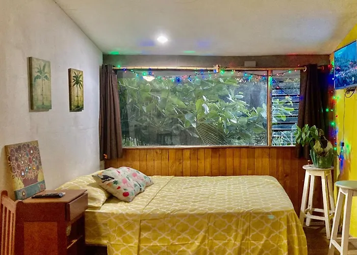 Beautiful Second Story 202 Next To 3* Playa Flamingo